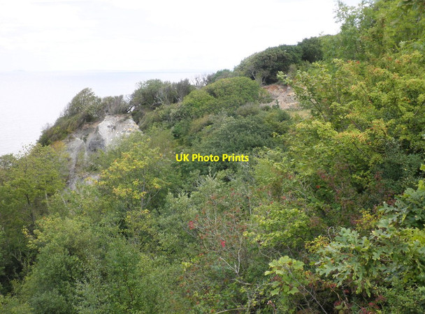 Photo 6"x4" Land slip, west of Watchet Chapel Cleeve c2011