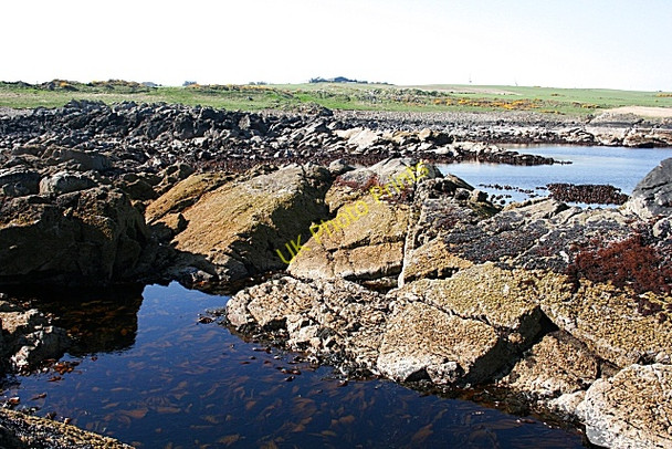 Photo 6"x4" Dallachy from Stake Ness Whitehills\/NJ6565 c2008