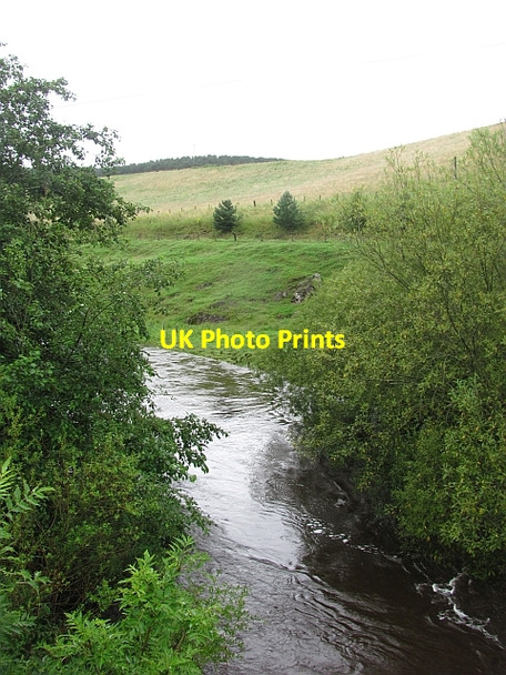 Photo 6"x4" Lyne Water Hallyne c2011 P1