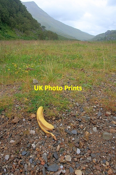 Photo 6"x4" Litter in Glen Nevis Steall c2011