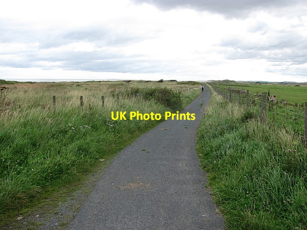 Photo 6"x4" National Cycle Network - route 1 Cheswick c2011