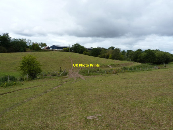 Photo 6"x4" Footpath near Bomere Farm Betton Strange c2011