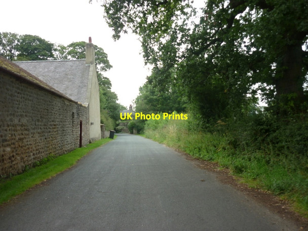 Photo 6"x4" Town Street, Nidd, North Yorkshire Nidd c2011