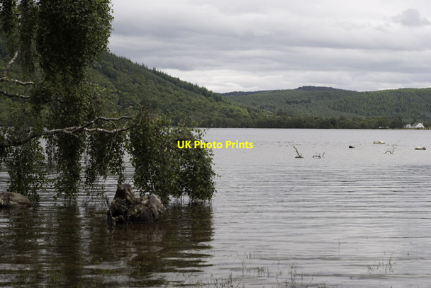 Photo 6"x4" Loch Achilty Craigdarroch\/NH4457 c2011