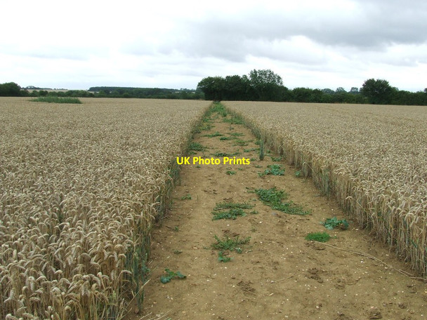 Photo 6"x4" Clearly Marked Footpath Cowlinge c2011