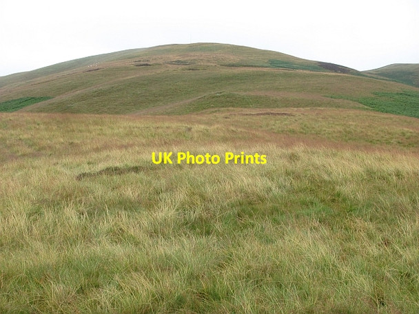 Photo 6"x4" Stevenson Hill Harehope\/NT2044 c2011
