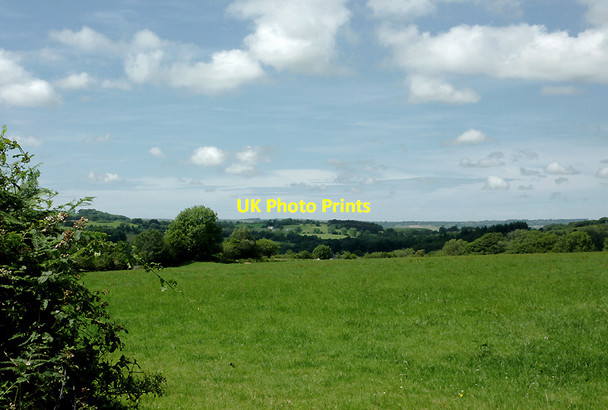 Photo 6"x4" Pasture near Olmarch, Ceredigion Cockshead c2011