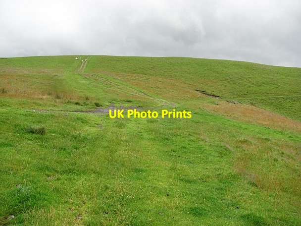 Photo 6"x4" Tracks, Hamildean Hill Hallyne c2011