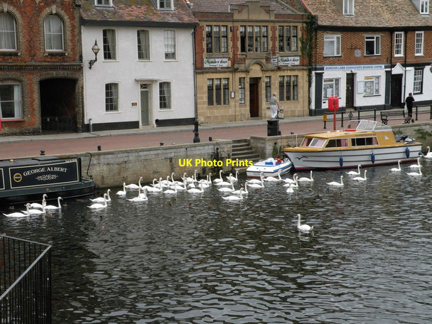 Photo 6"x4" Swanning about on the Ouse St Ives\/TL3072 c2011