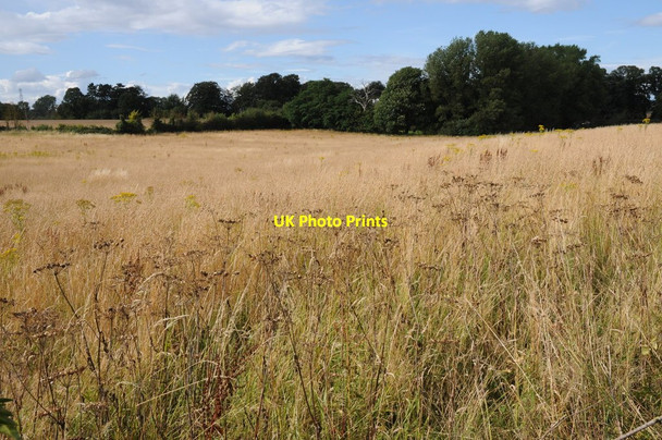 Photo 6"x4" Field at Hartlebury Stourport-on-Severn c2011