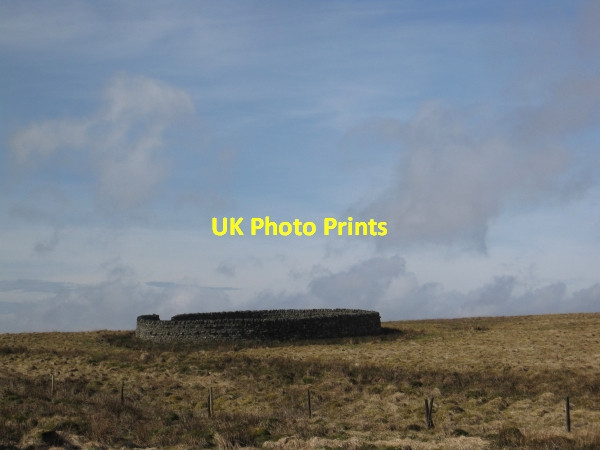 Photo 6"x4" Sheepfold near Watson's Wall Greystead c2011