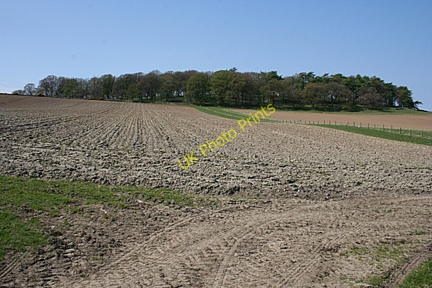 Photo 6"x4" Brown Hill Greenfold\/NJ6049 c2008