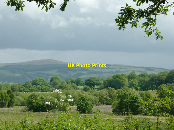 Photo 6"x4" Rough grazing east of Comins Capel Betws, Ceredigion Llanio c2011