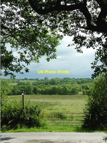 Photo 6"x4" Rough grassland east of Comins Capel Betws, Ceredigion Llanio c2011