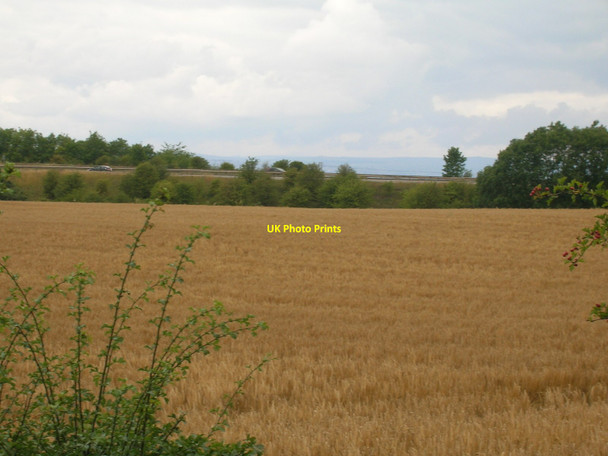 Photo 6"x4" Farmland off Common Lane Brampton en le Morthen c2011