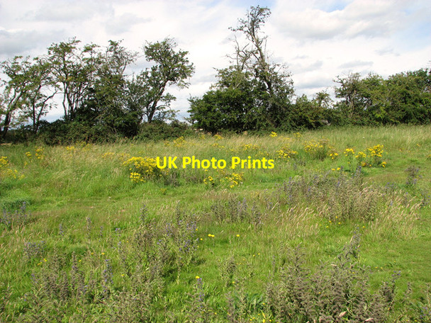 Photo 6"x4" Hedge surrounding playing field, Eyke Eyke c2011