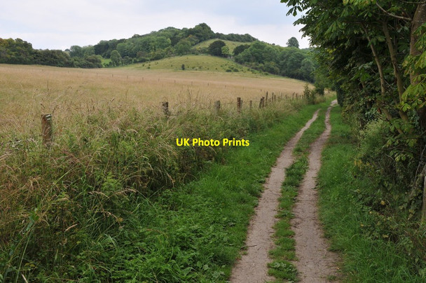 Photo 6"x4" The Thames Path near Gatehampton Lower Basildon c2011