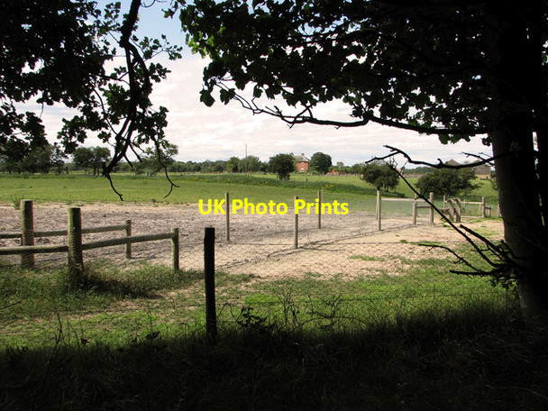 Photo 6"x4" View towards Westleton Road from Minsmere Road Dunwich c2011