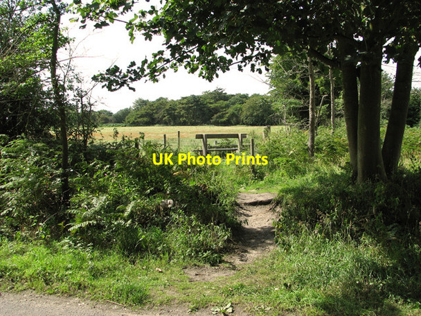 Photo 6"x4" Path to Sandlings Walk, Minsmere Dunwich c2011