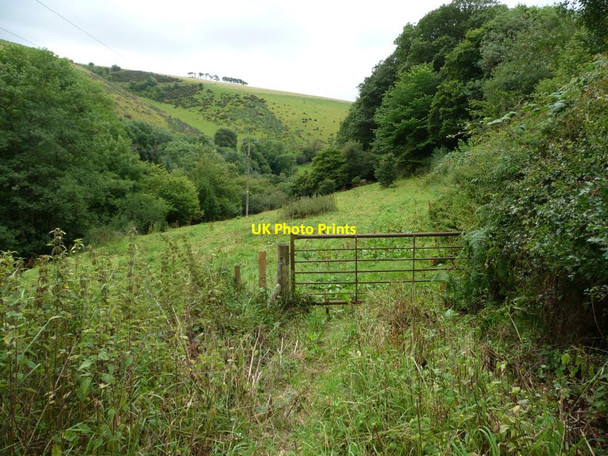 Photo 6"x4" Triangular hillside field Chapel Lawn c2011