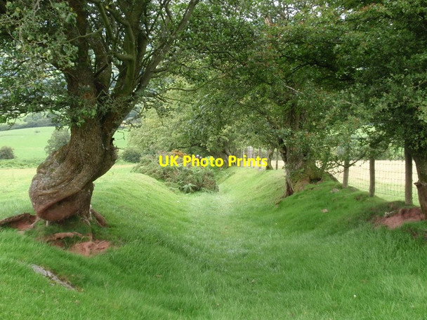 Photo 6"x4" Llwybr ceffyl Cefn Llechid bridleway Defynnog c2011