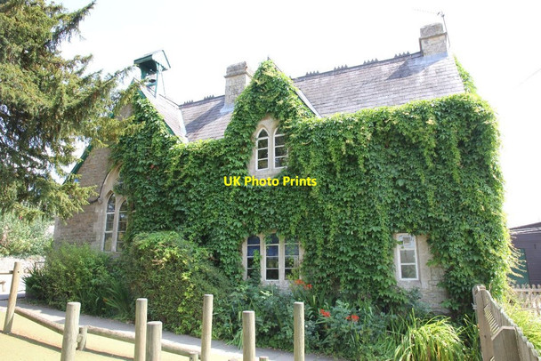 Photo 6"x4" Ivy on the school Little Milton\/SP6100 c2011