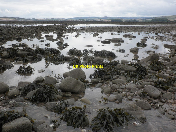 Photo 6"x4" Tidal pools, on Dunster Beach Marsh Street c2011