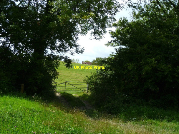 Photo 6"x4" Field gate on footpath near Perching Sands Farm Fulking c2011