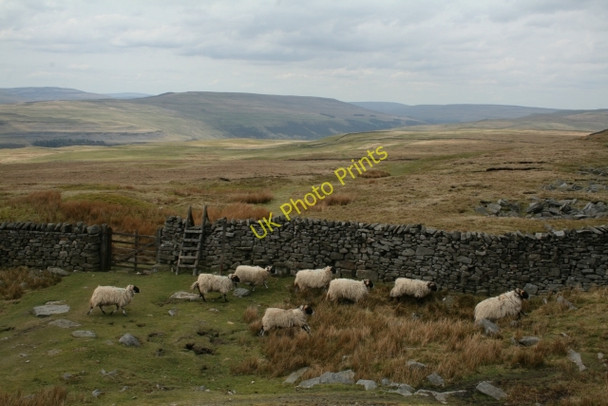 Photo 6"x4" The Path to Kettlewell Kettlewell c2008