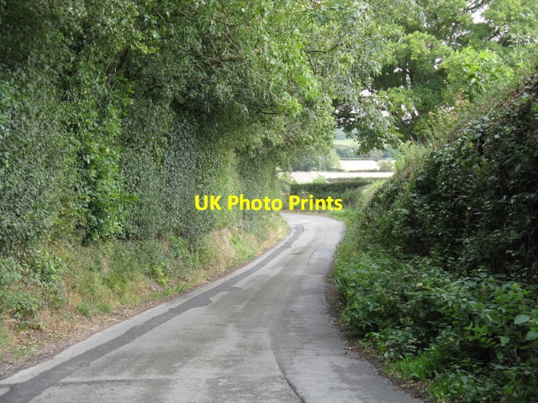 Photo 6"x4" The winding lane from Ledicot Ledicot c2011