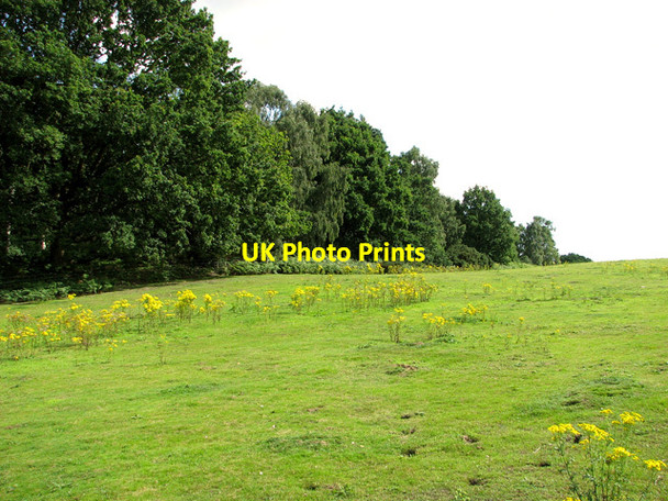 Photo 6"x4" Reckham Pits Wood, Leiston Common Leiston c2011