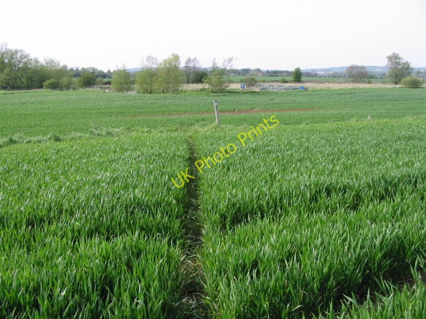 Photo 6"x4" Stour Valley Walk in the direction of Wye Naccolt c2008