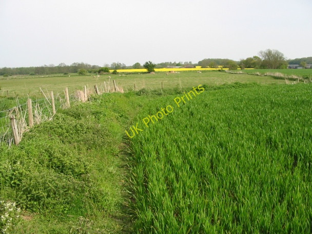 Photo 6"x4" The Stour Valley Walk towards Ashford Naccolt c2008
