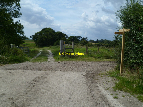 Photo 6"x4" Footpath junction west of Poynings Poynings c2011