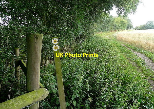 Photo 6"x4" Footpath junction at Flagmore Wood Hughenden Valley c2011