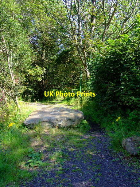 Photo 6"x4" Track to Port Bannatyne Port Bannatyne c2011
