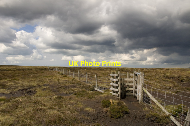 Photo 6"x4" Kissing gate on Burnslack Fell Fair Oak\/SD6446 c2011