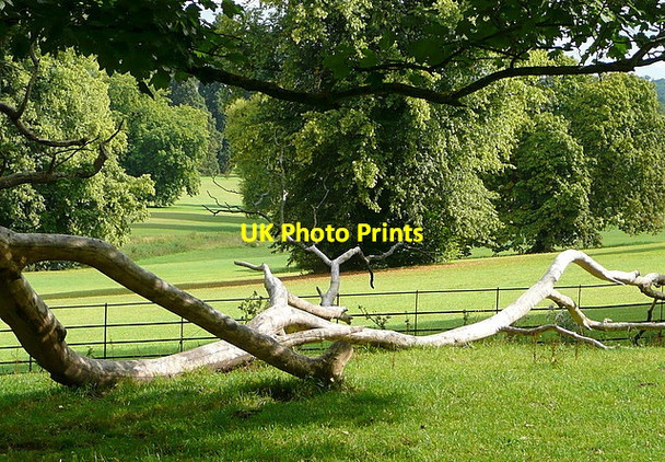 Photo 6"x4" Hughenden Park High Wycombe c2011