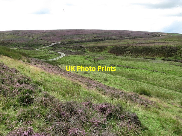 Photo 6"x4" The upper Blythe Water Easter Burn\/NT5853 c2011