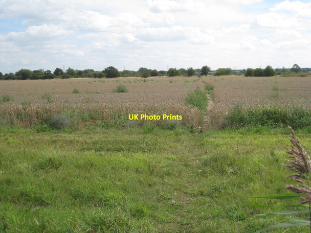 Photo 6"x4" Footpath to Harby Harby\/SK8770 c2011