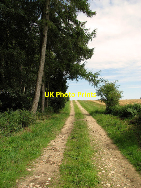 Photo 6"x4" Track to Bircham Common Bagthorpe\/TF7932 c2011