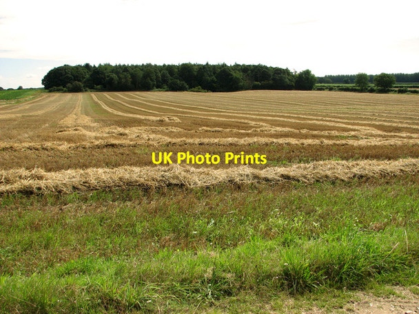 Photo 6"x4" Harvested field at Bircham Common Bagthorpe\/TF7932 c2011
