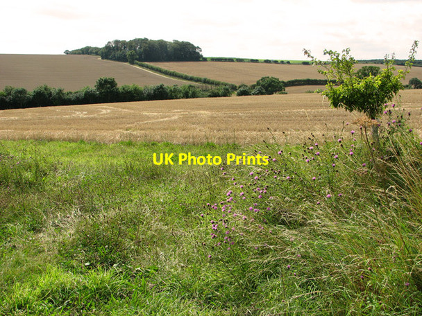Photo 6"x4" Undulating farmland near Sedgeford Fring c2011