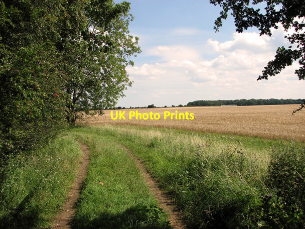 Photo 6"x4" Fields east of Whin Close, Sedgeford Fring c2011