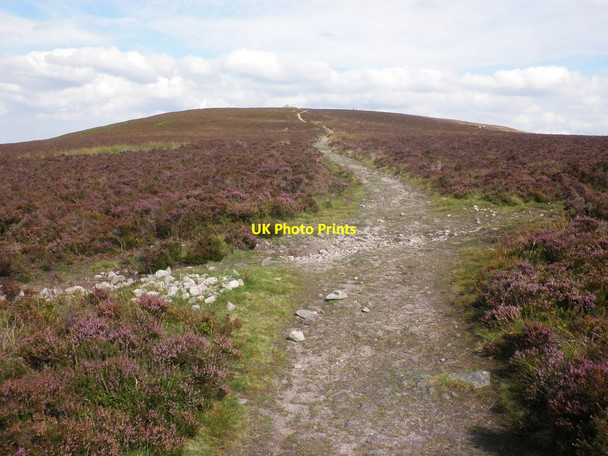 Photo 6"x4" Path towards Dunkery Beacon Codsend c2011