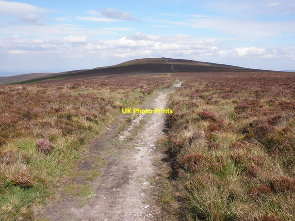 Photo 6"x4" Path across Goosemoor Common Codsend c2011
