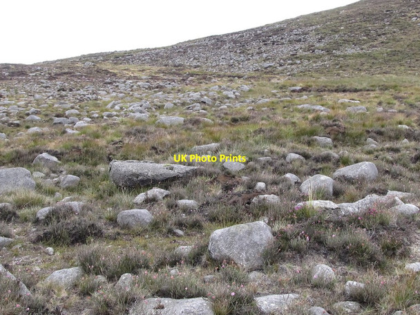 Photo 6"x4" Blockfield alongside the Banns Road Attical c2011