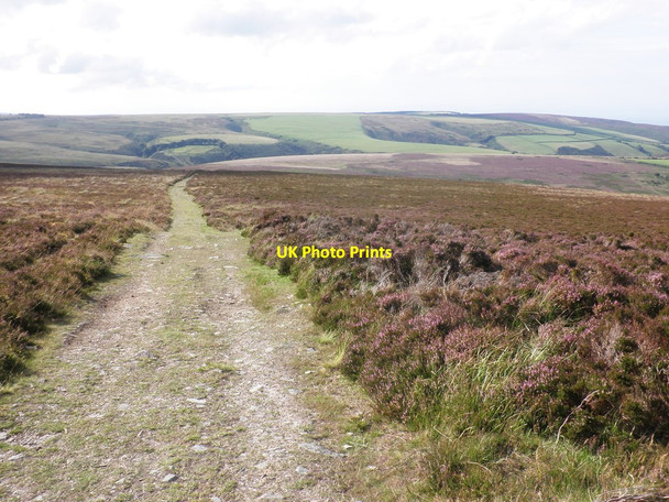 Photo 6"x4" Track down to Lang Combe Head Codsend c2011