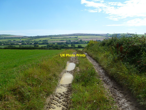 Photo 6"x4" Sturthill, bridleway Chilcombe\/SY5291 c2011