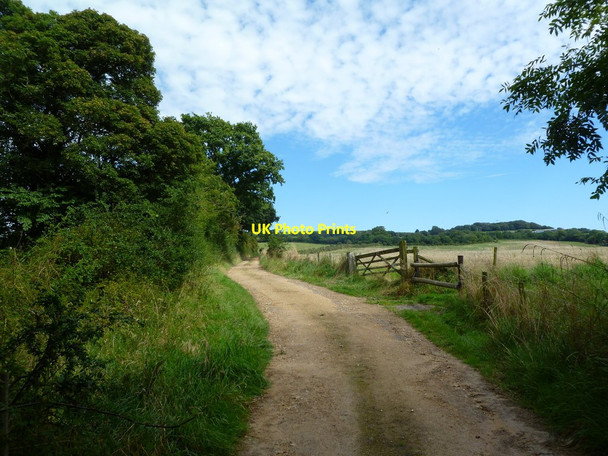 Photo 6"x4" Sturthill, bridleway Chilcombe\/SY5291 c2011